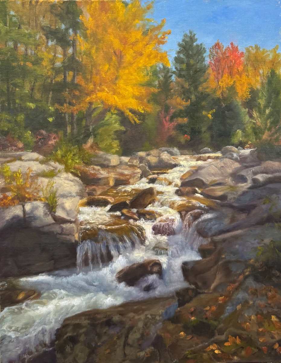 Sunlit Rapids by Pat Wattam, Image 1.