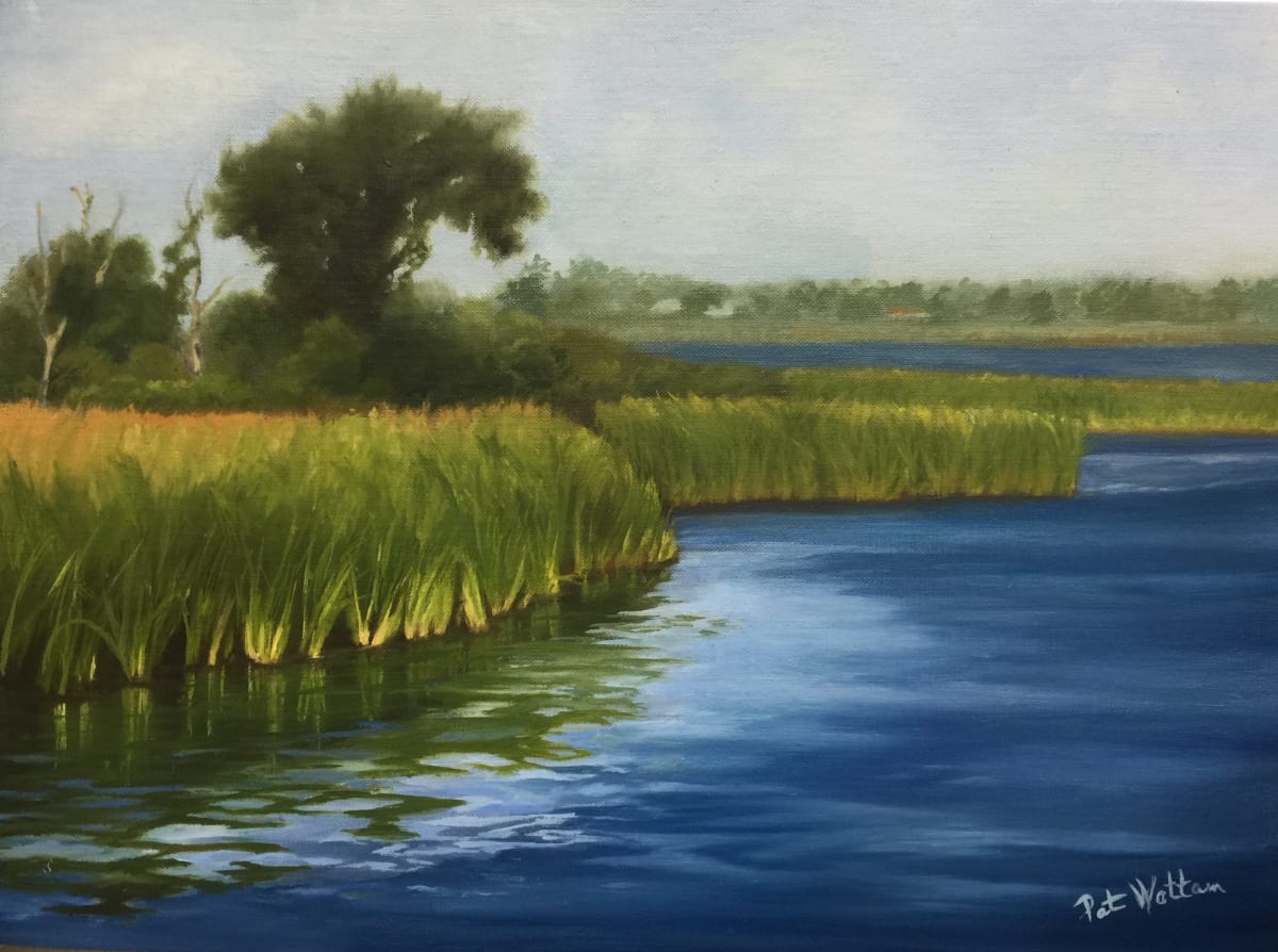 Summer Marsh by pat wattam 