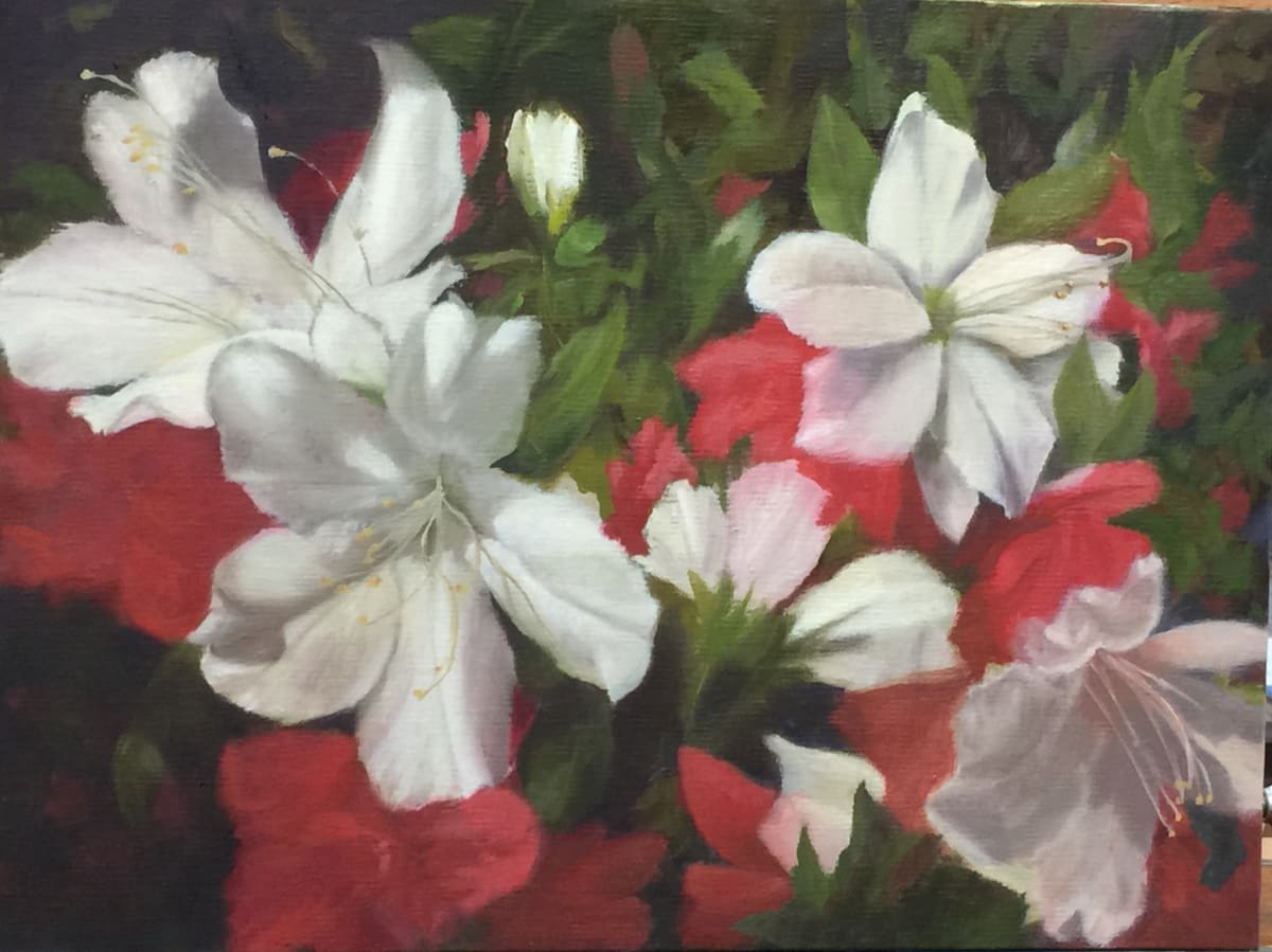 Azaleas in Bloom by Pat Wattam 