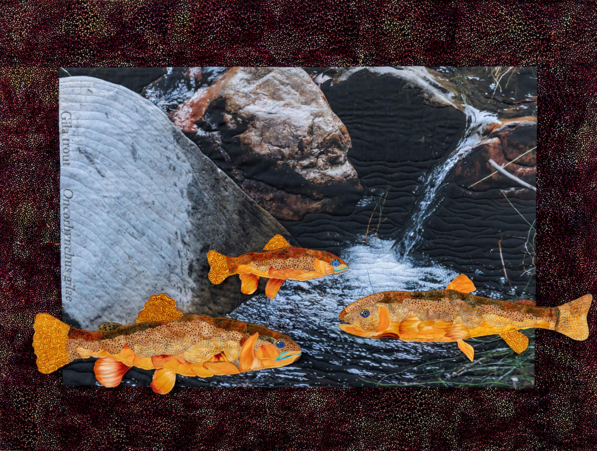 Gila Trout--Still Threatened by Bill Meek and Denny Peterson  Image: This quilt reminds us that the Gila Trout is still threatened with reducing populations and possible disappearance.  The Gila Trout is native to Arizona and New Mexico's mountain streams.  This quilt received an Honorable Mention in 8th ANIMAL Competition 2023 by TERAVARNA ART GALLERY and has been exhibited in "Art Quilts: Breaking Rules, Honoring Tradition" in Chandler, Arizona; Members' Juried Exhibition at the Tubac Center of the Arts, Arizona; and "Fantastic Fibers 2025" at Yeiser Art Center, Paducah, Kentucky.   