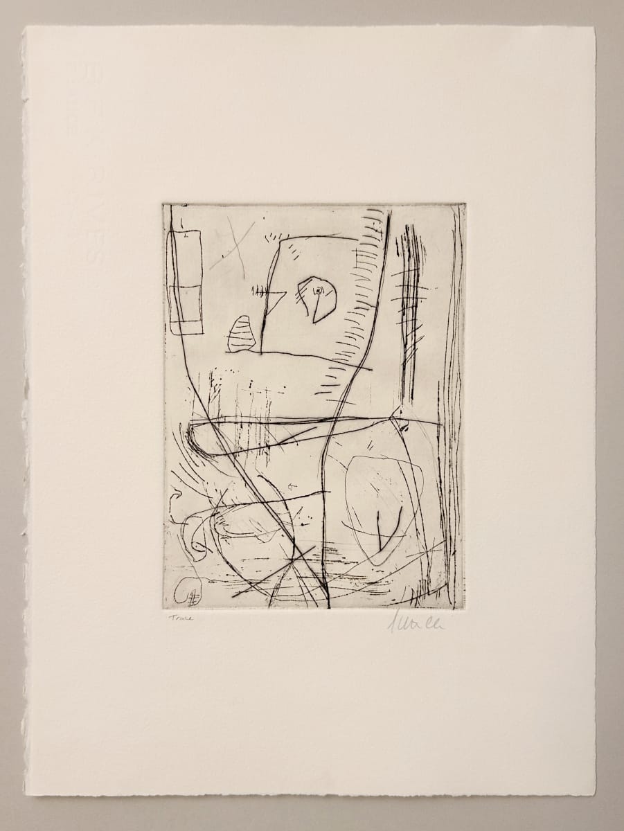 Trace 2/10 by Shanti Conlan 