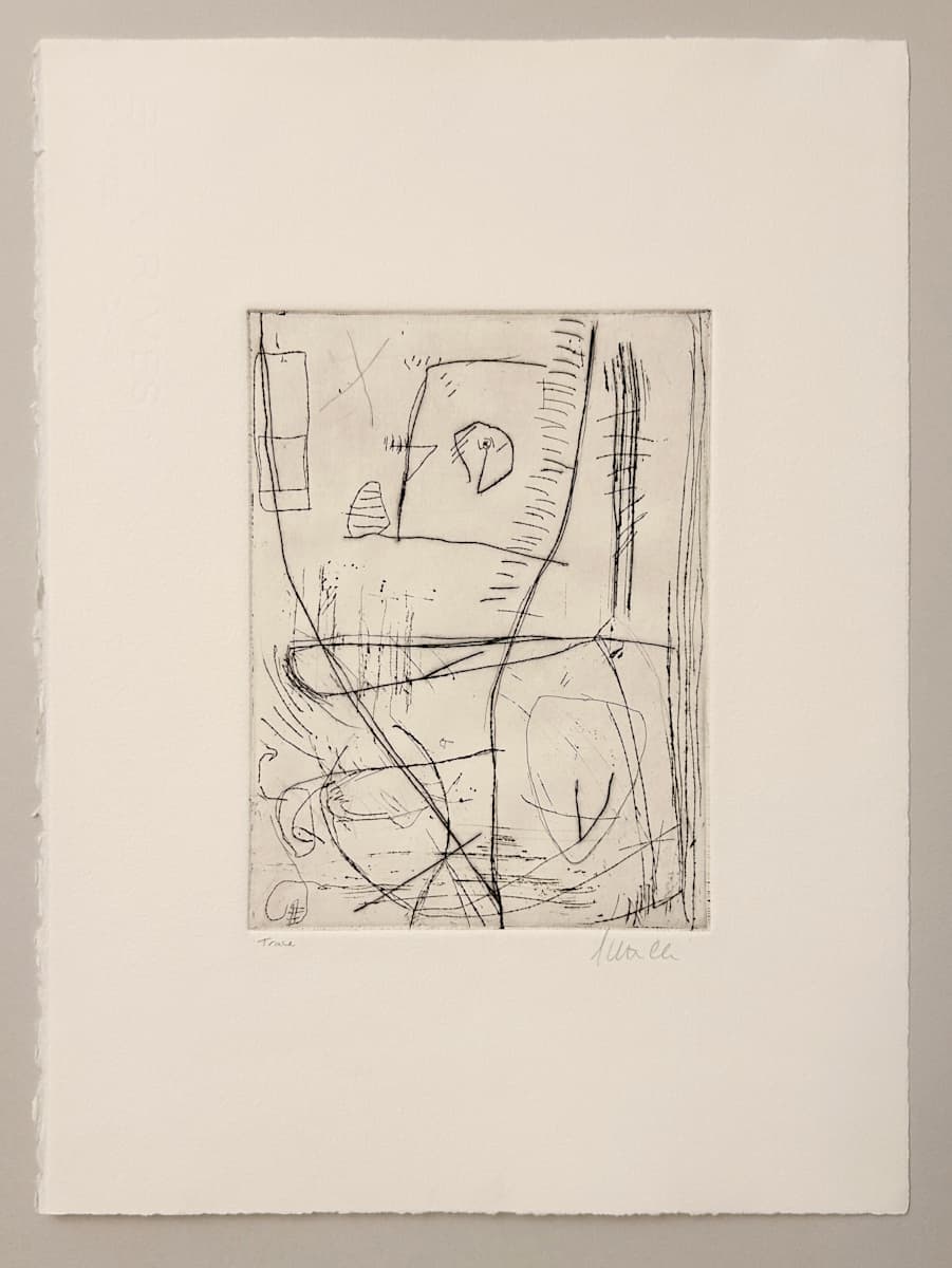 Trace 2/10 by Shanti Conlan, Image 2.