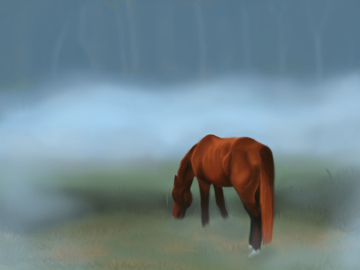 Foggy Pasture by Sariah Chamberlain, Image 1.