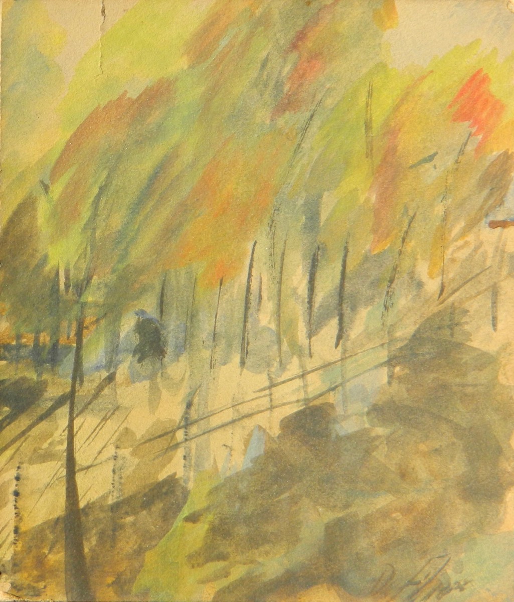 Fall Colors in New York  ** by Angelo DeFilippo 