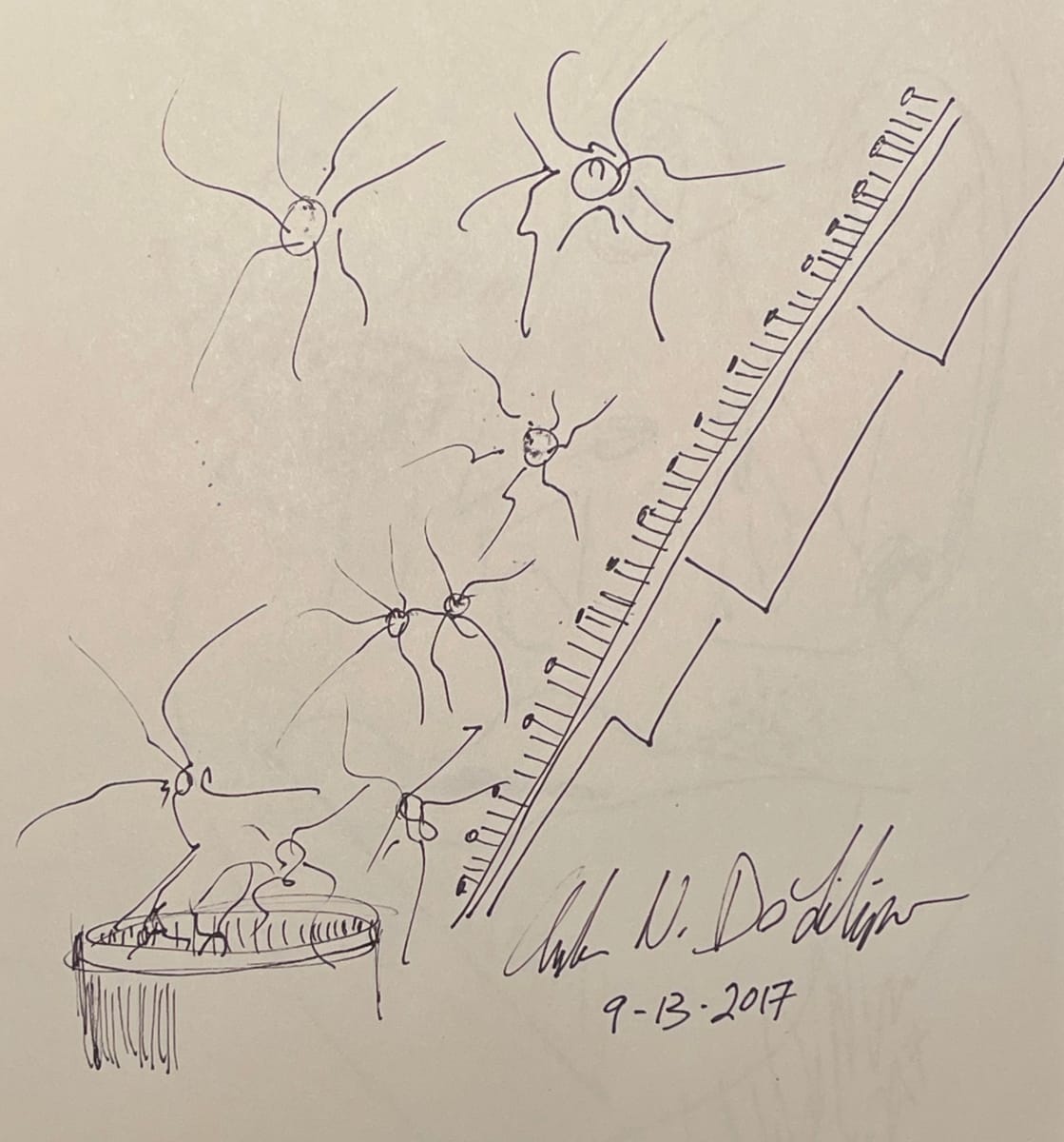 Escaping Brain Neurons by Angelo DeFilippo 