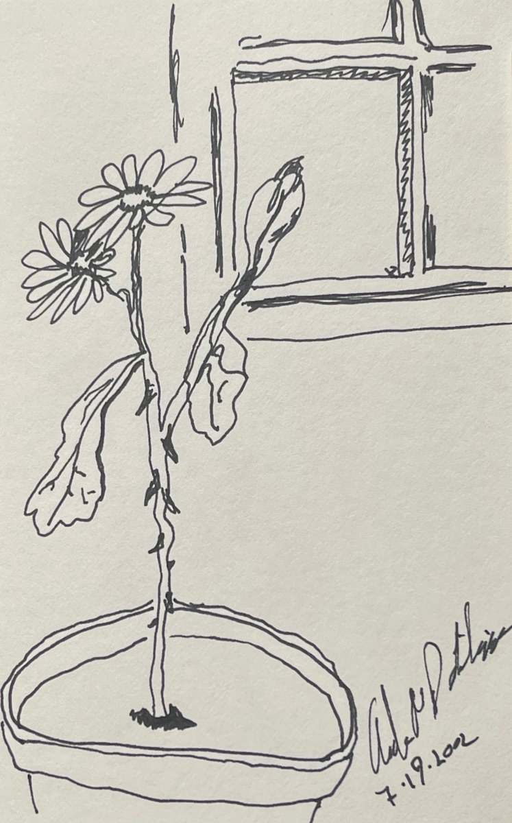 Flowers Growing in a Pot  ** by Angelo DeFilippo 