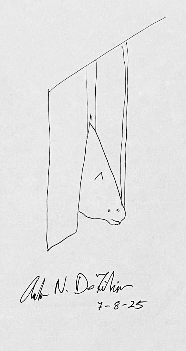 Looking Out  ** by Angelo DeFilippo, Image 1.