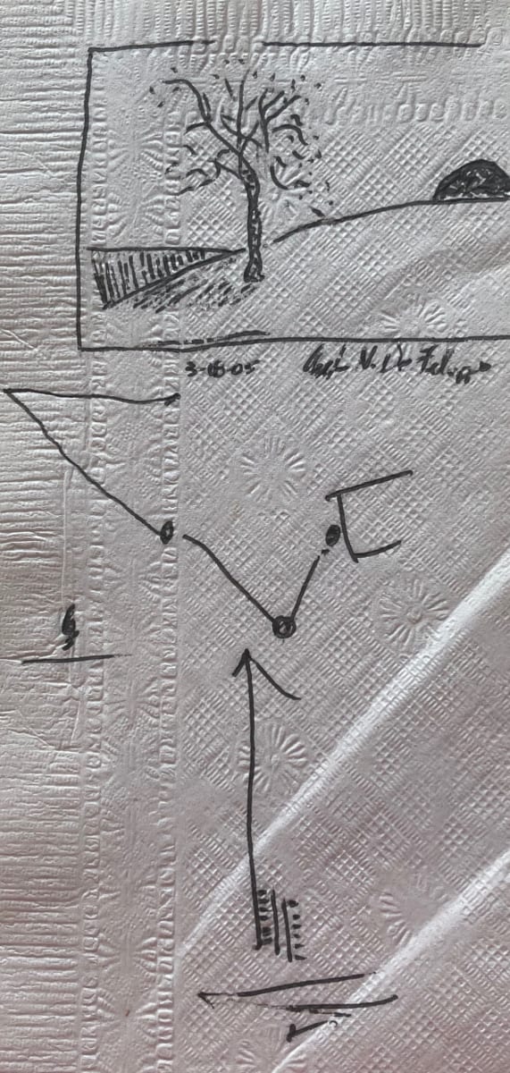Sunning Tree With Direction  ** by Angelo DeFilippo, Image 1.