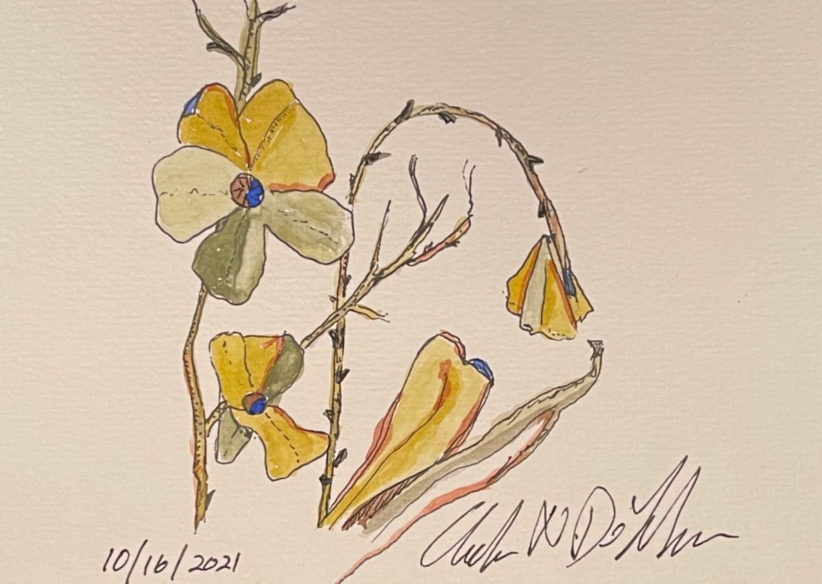 Thorny Stems ** by Angelo DeFilippo 