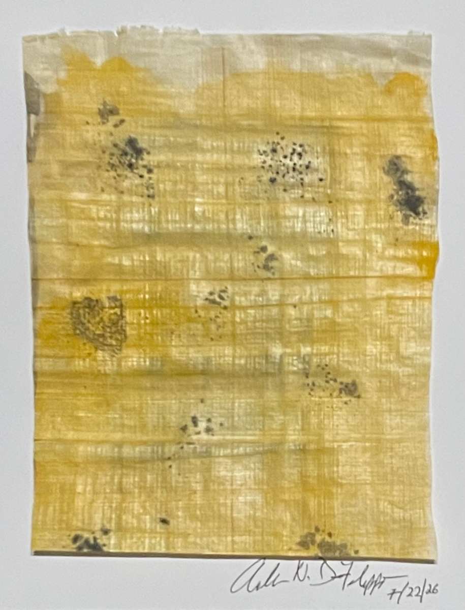 Untitled 16 by Angelo DeFilippo, Image 1.