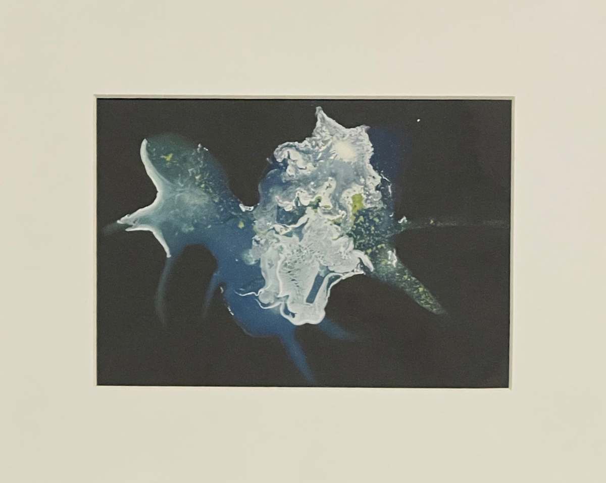 Untitled 23 by Angelo DeFilippo, Image 1.