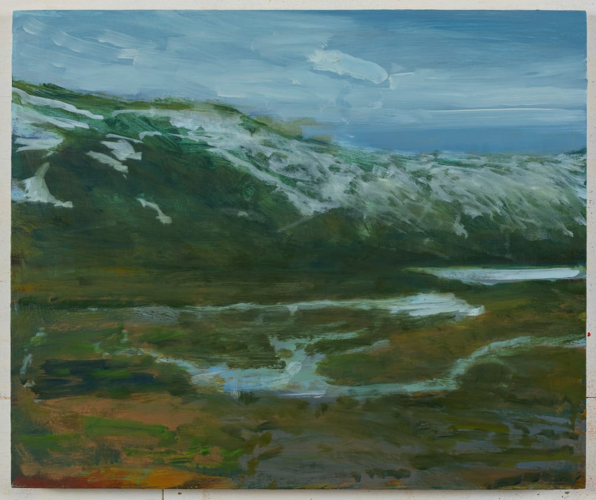 Myrdal, Norway by Dean Dass, Image 1.