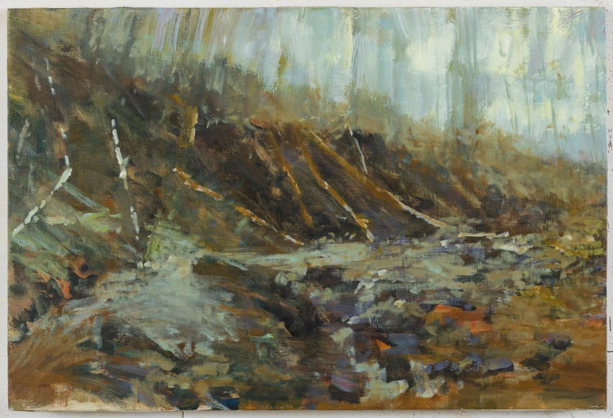Deadfall below Blue Hole by Dean Dass, Image 1.