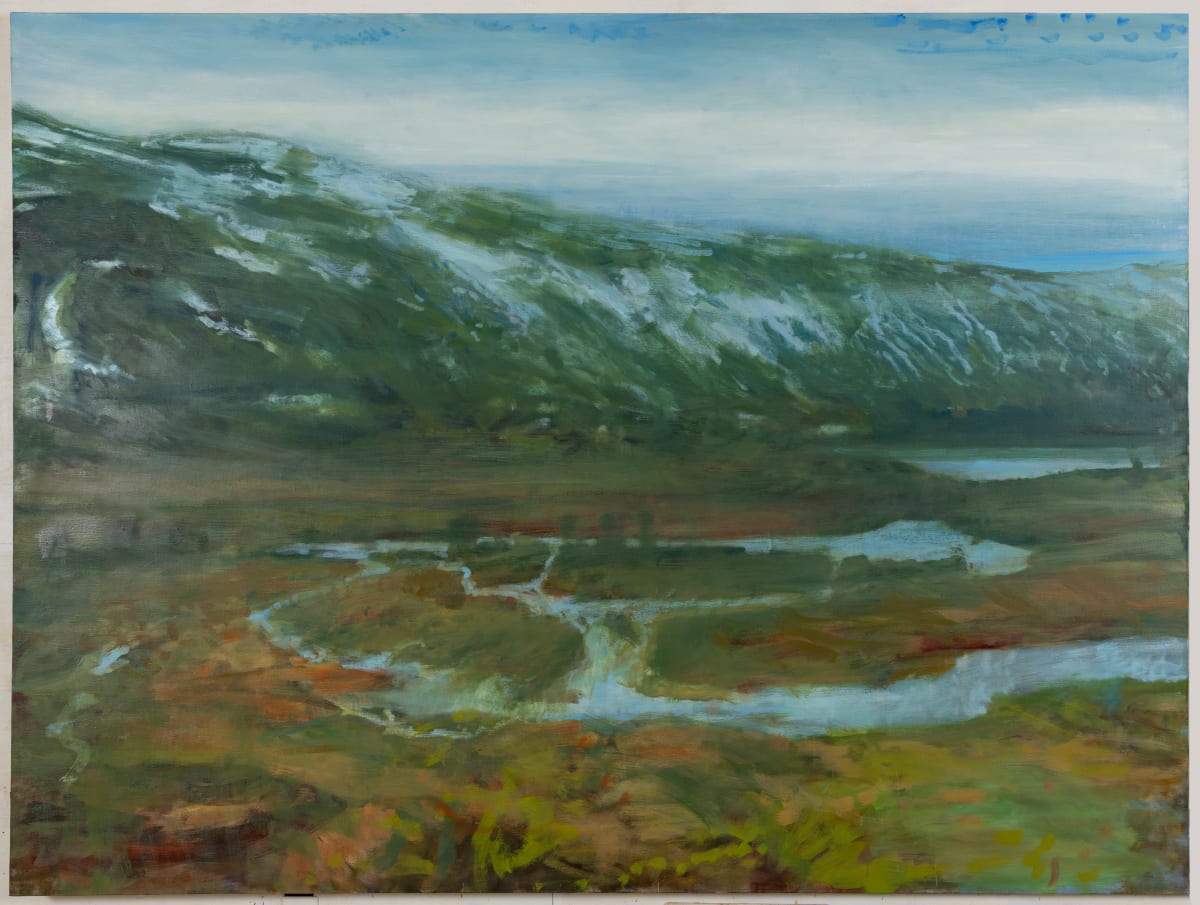 Myrdal, Sogan, Norway (View from The Train) by Dean Dass 