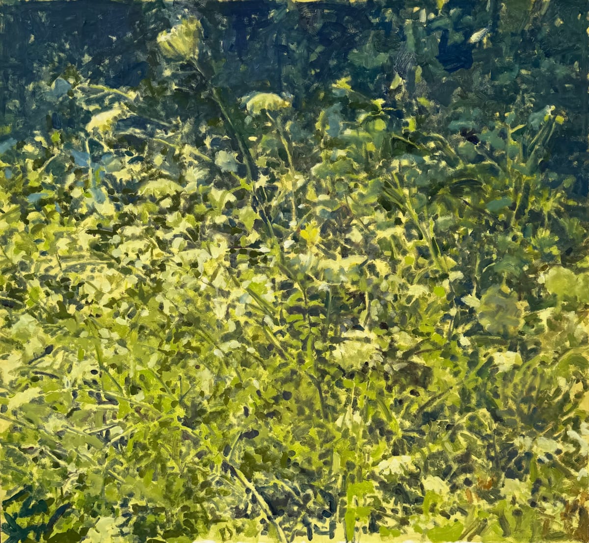 Queen Anne’s Lace by Annie Harris Massie 