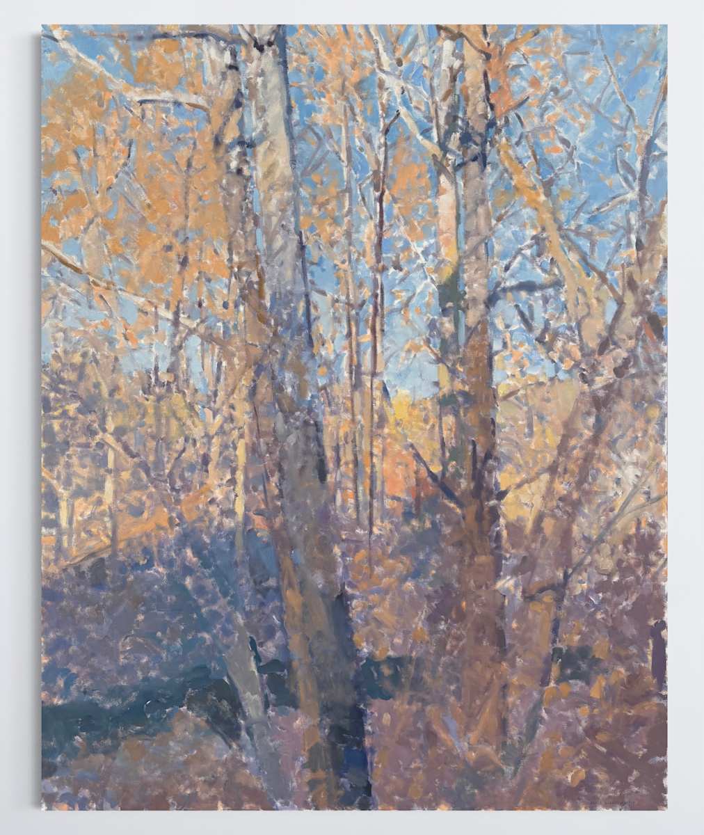 Sycamore Trees Above Opossum Creek by Annie Harris Massie 