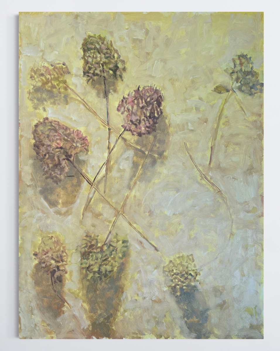 Late Summer Hydrangea by Annie Harris Massie 