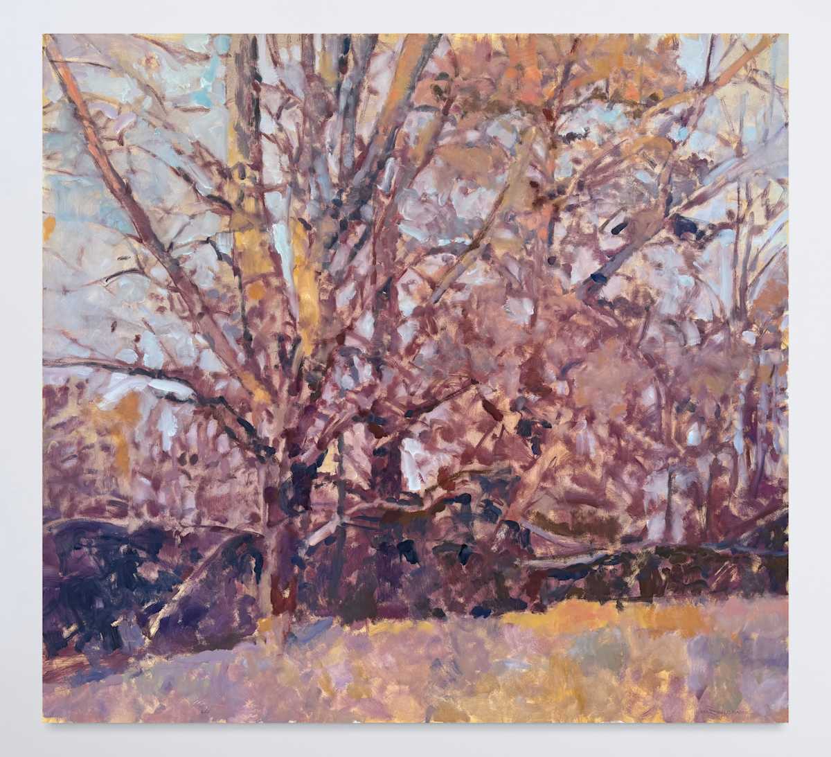 Two Maples and a Pine Tree by Annie Harris Massie, Image 2.