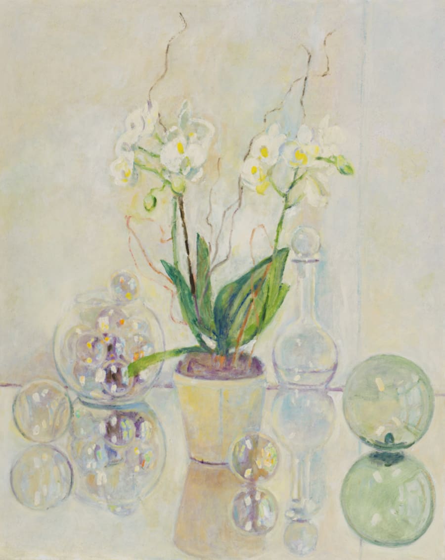 A White Orchid by David Summers 