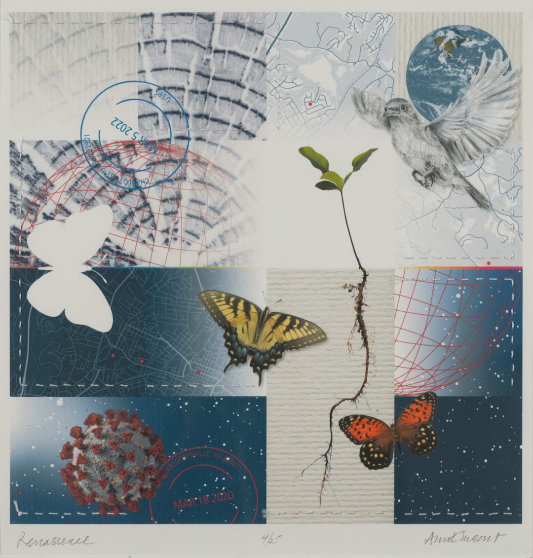 Renascence by Anne Chesnut 