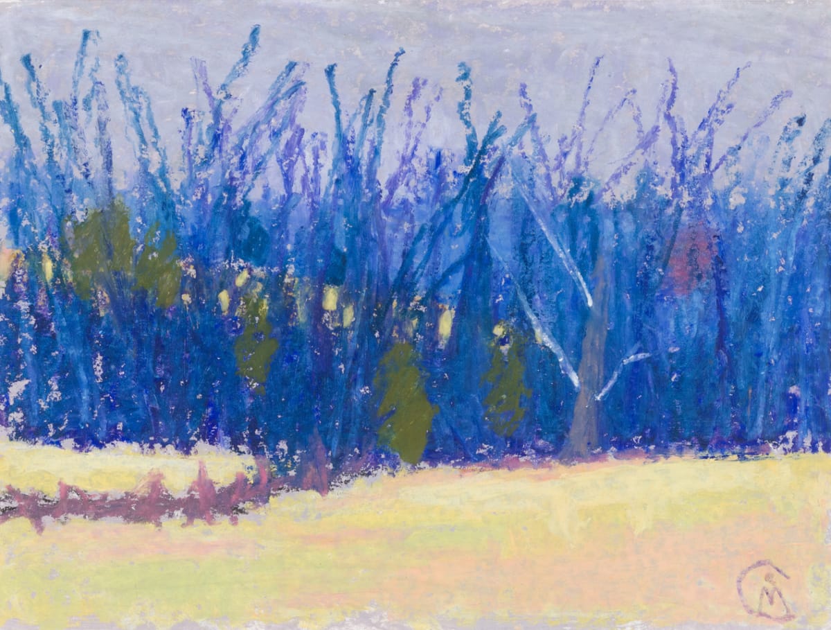 Sapphire Copse by John McCarthy 