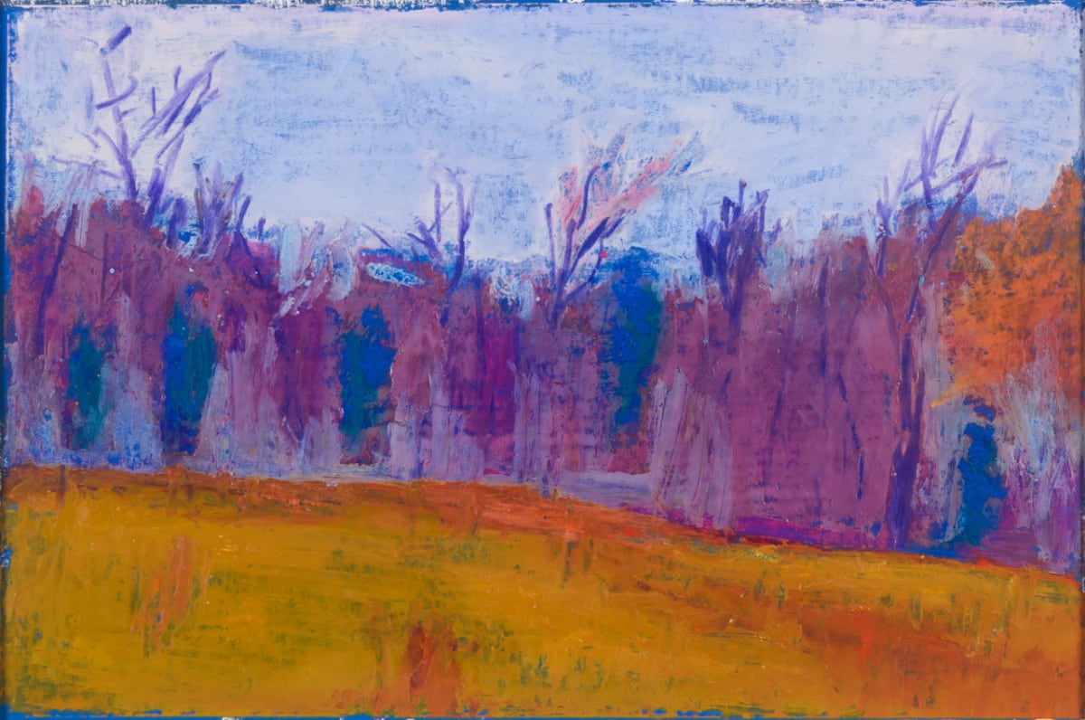 Late Fall in the Piedmont by John McCarthy 
