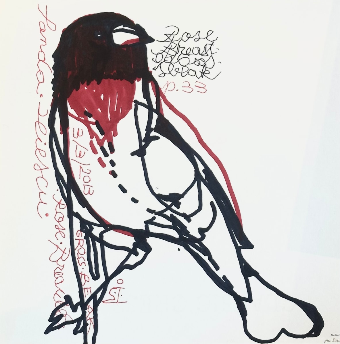 Bird 1E by Sanda Iliescu 