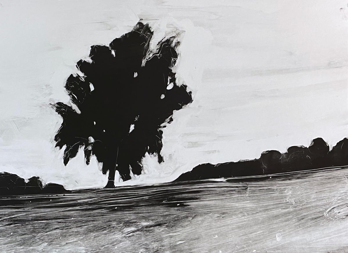 From Haunted Spring and Dale by David Hawkins 