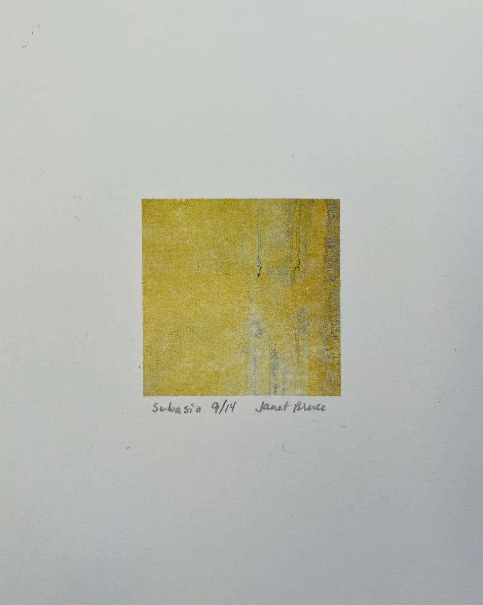 Subasio 9 by Janet Bruce 