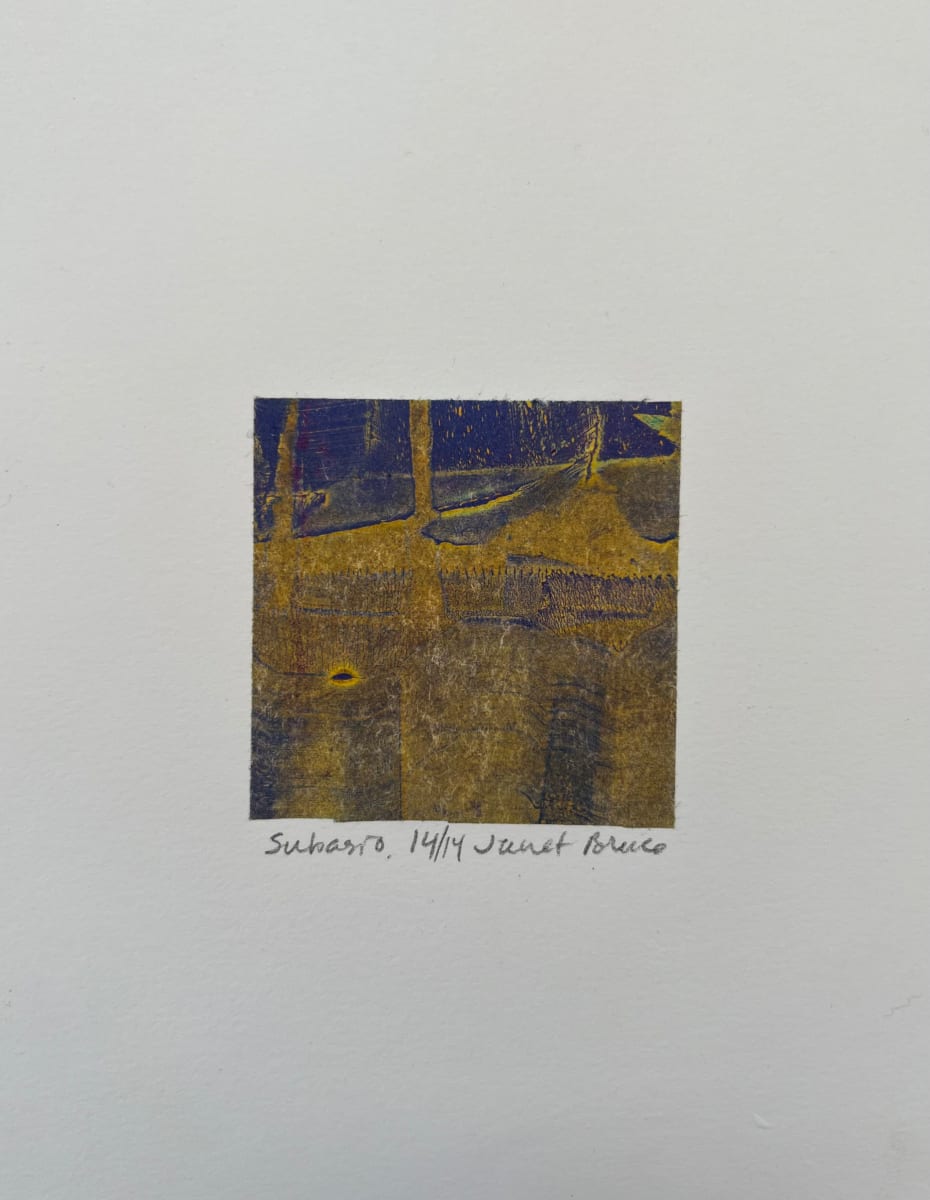 Subasio 14 by Janet Bruce 