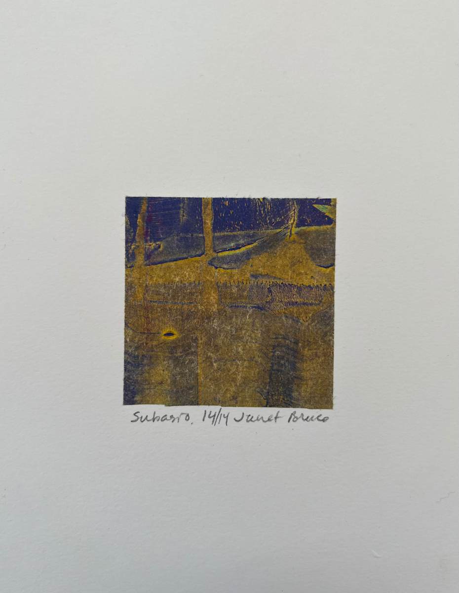 Subasio 14 by Janet Bruce, Image 12.