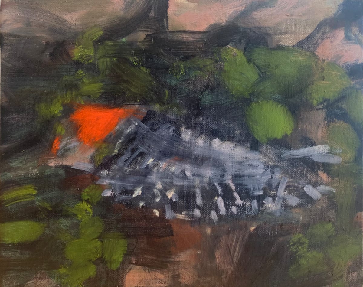 Bird on the ground (b) by Dean Dass 