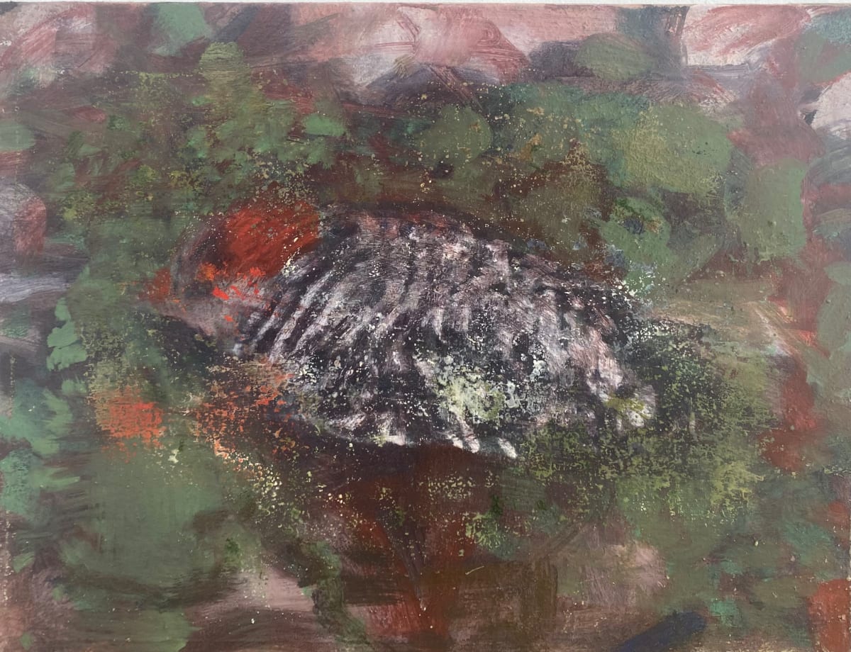Bird on the ground (e) by Dean Dass 