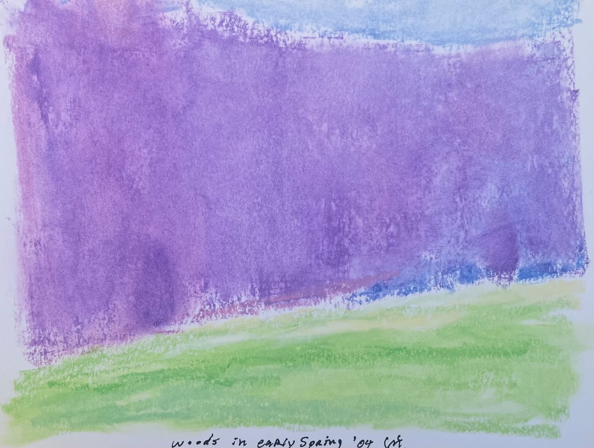 Woods in Early Spring by John McCarthy 