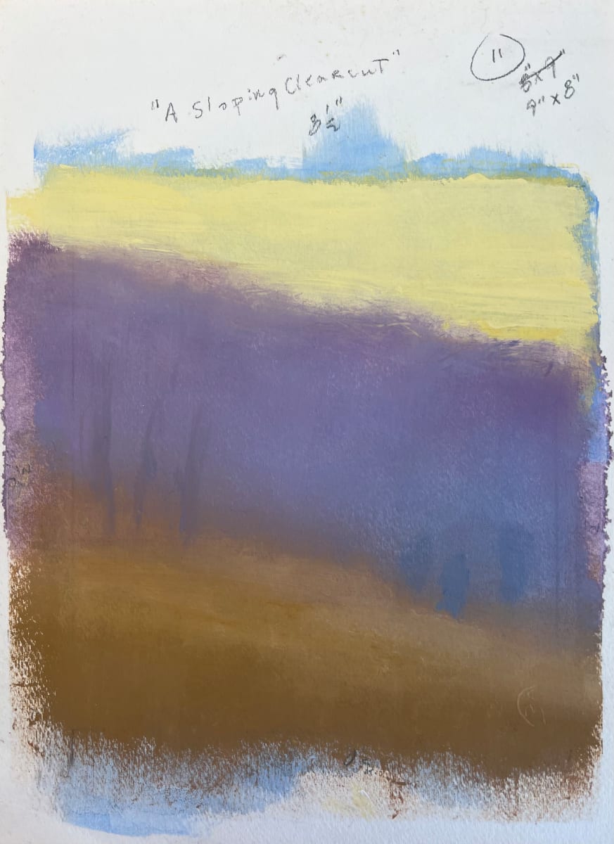 A Sloping Clearcut by John McCarthy 
