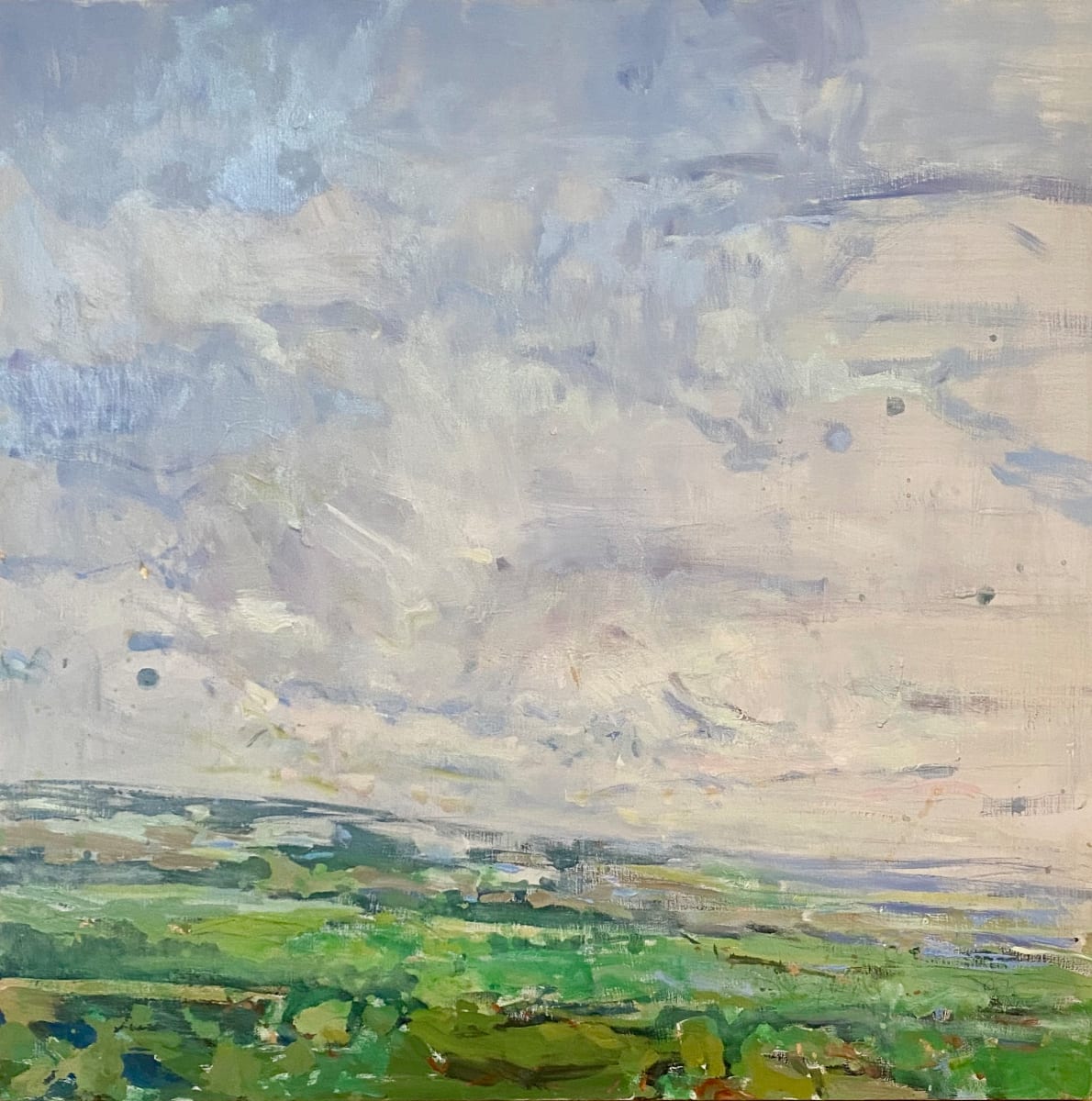 Grounded II by Susan McAlister 