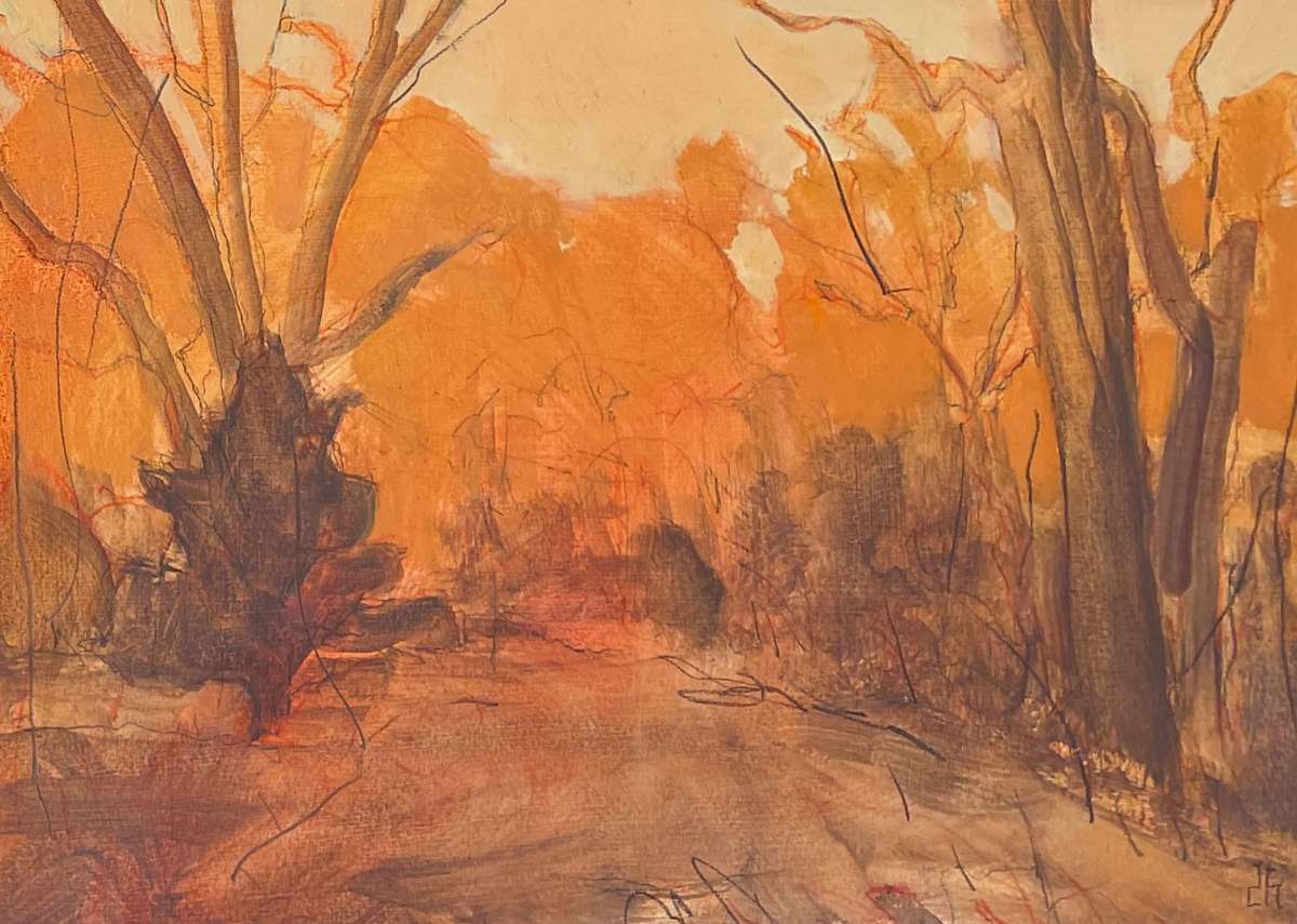 Once the Color of Fire (7) by David Hawkins 