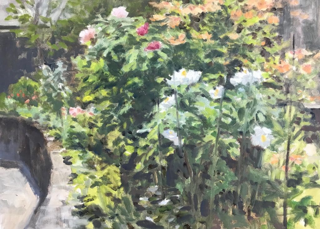 Tree Peony by Richard Crozier 