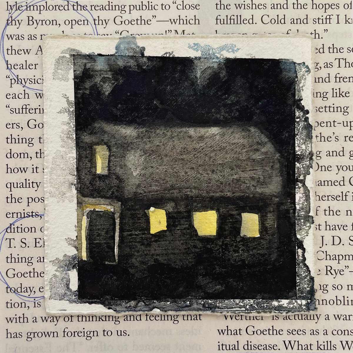 Light in the Writers Words in the Cottage by Suzanne Tanner 