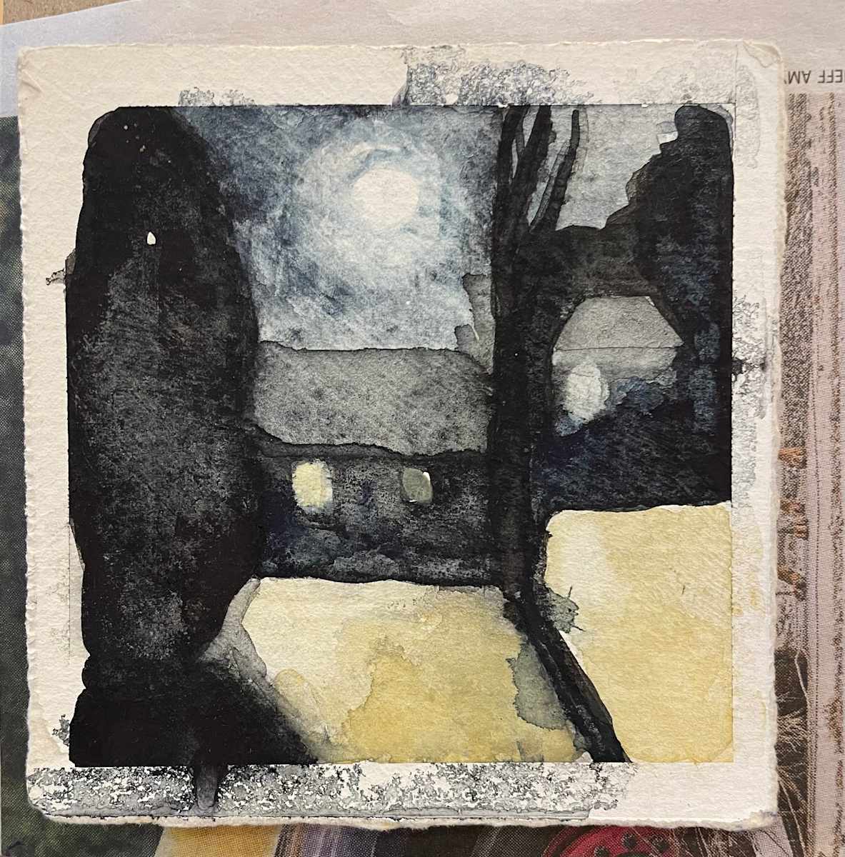Light in the Shadows of the Moon by Suzanne Tanner 