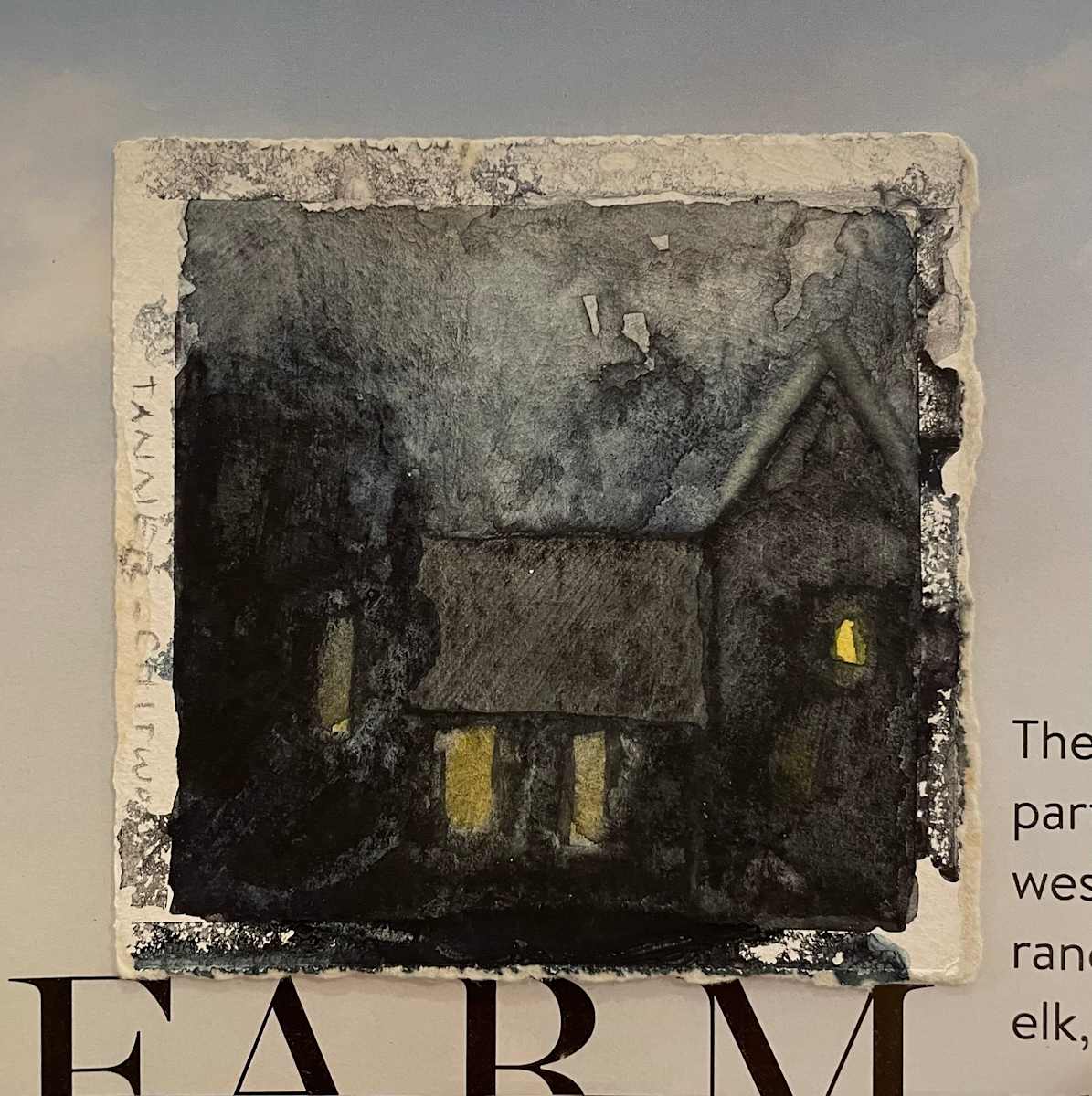 Light on the Farm by Suzanne Tanner 