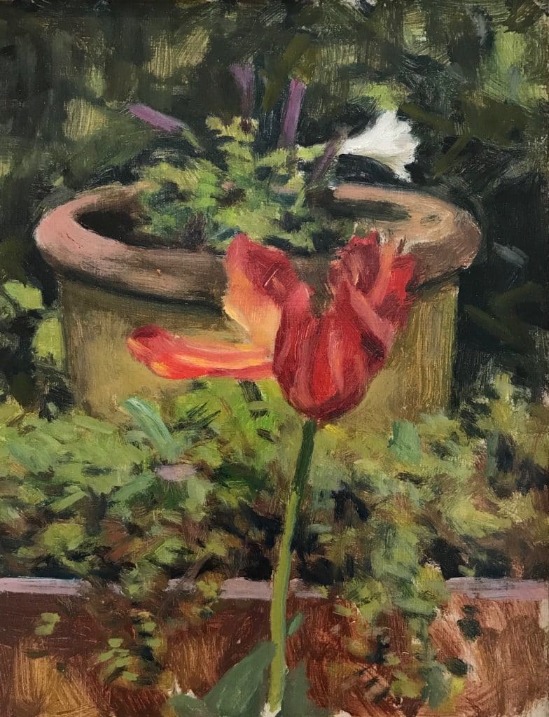 Red Tulip by Richard Crozier 