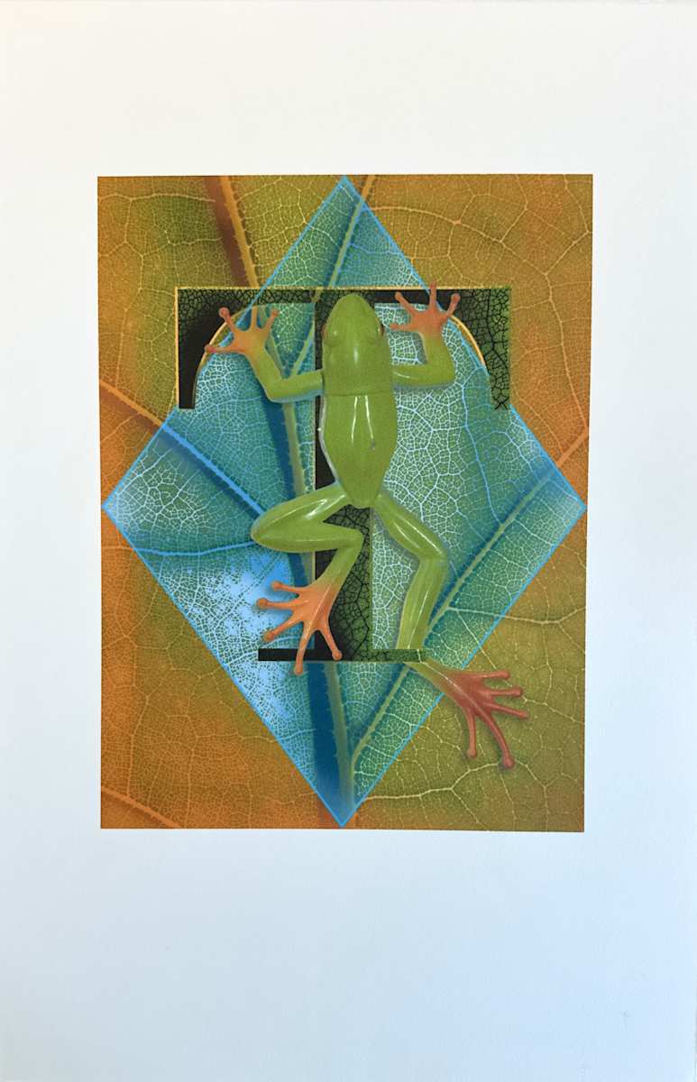 N/A by Anne Chesnut 
