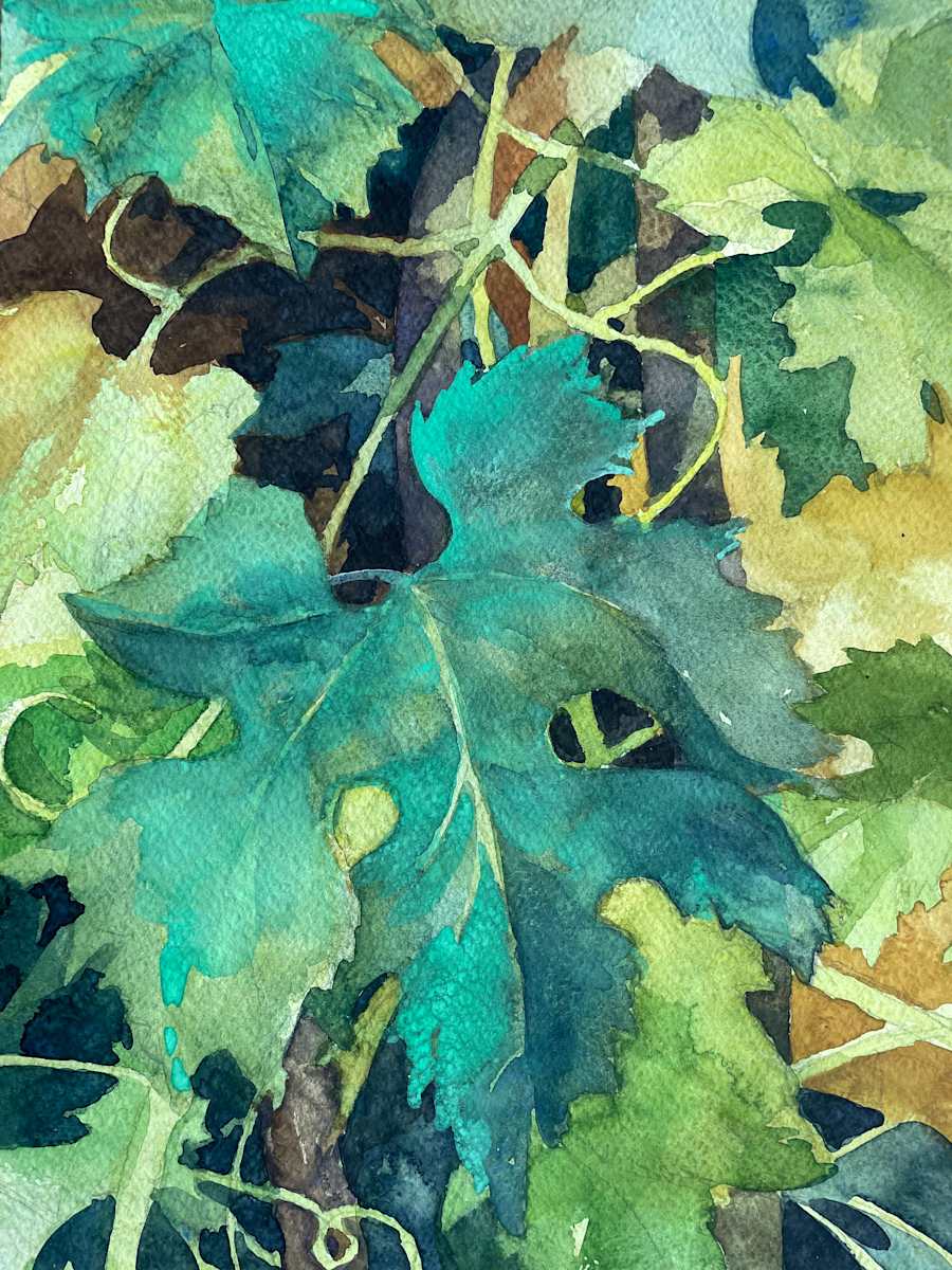 Grape Vine (SL 161 A) by Lincoln Perry 