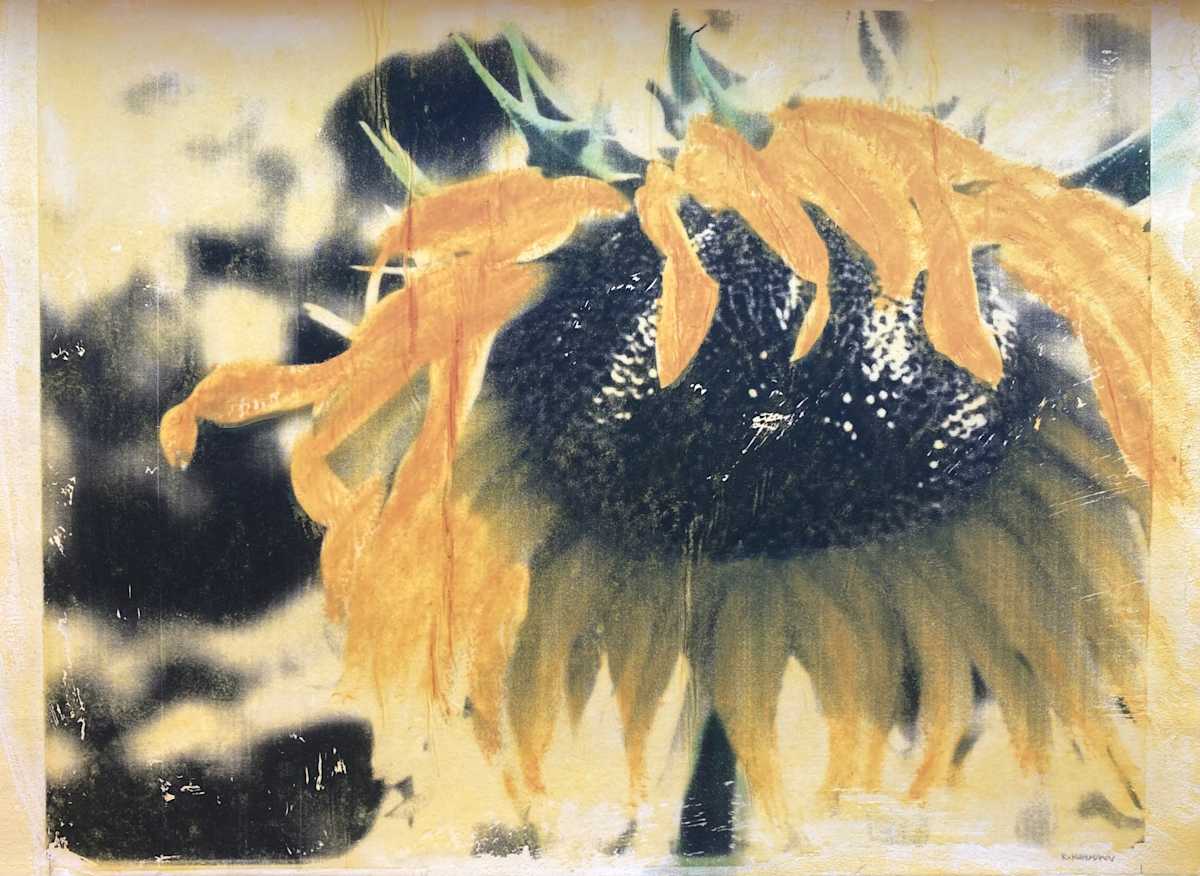 Sunny by Kathy Kuhlmann, Image 2.