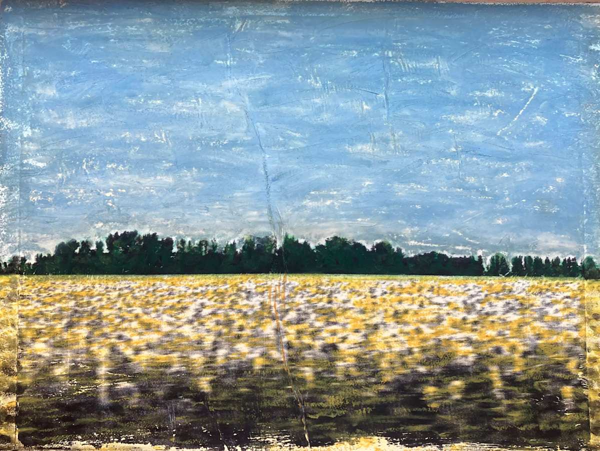 Sunflower Field at 75mph by Kathy Kuhlmann 