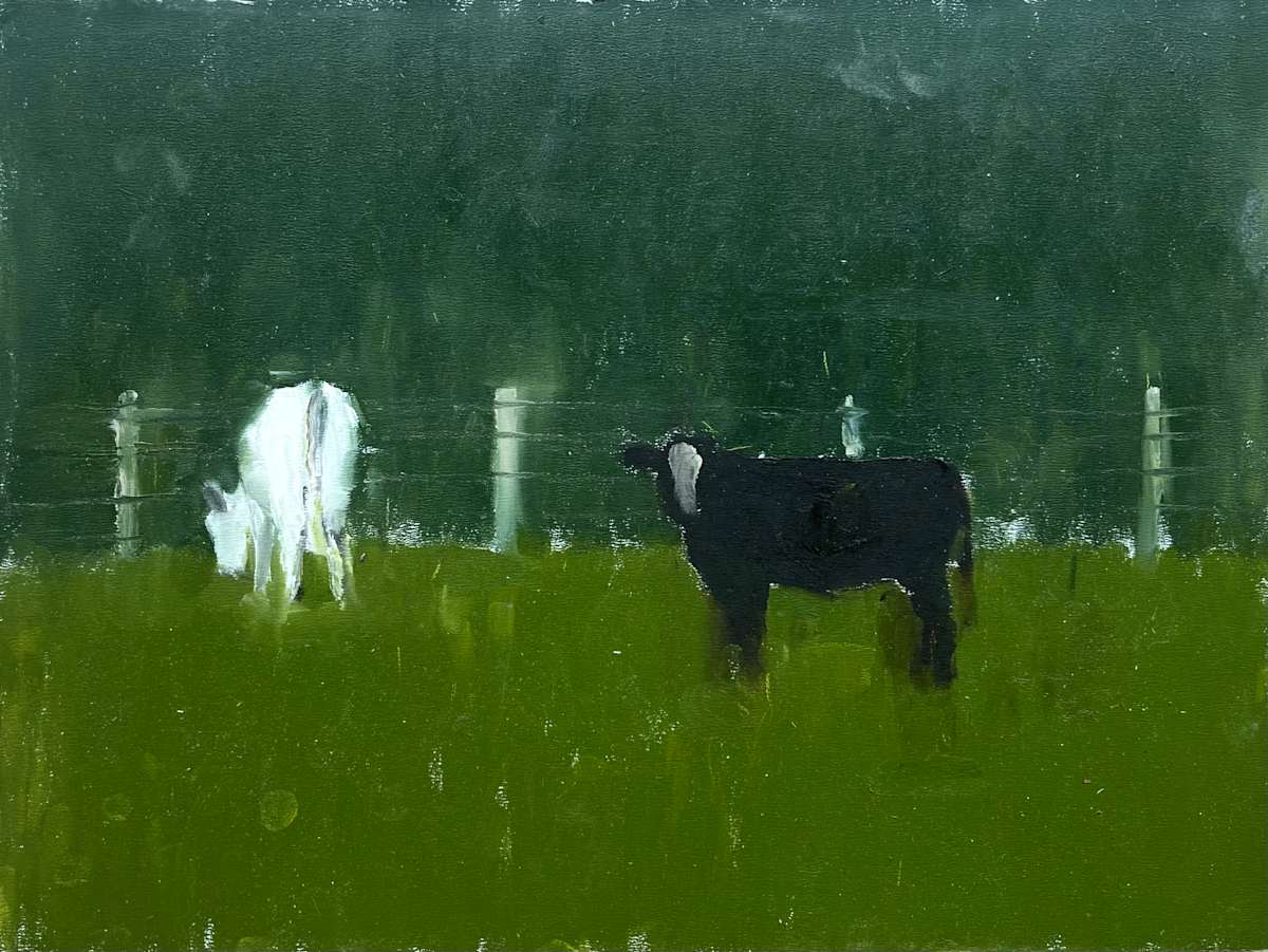 Black and White Heifers by Pam Black 