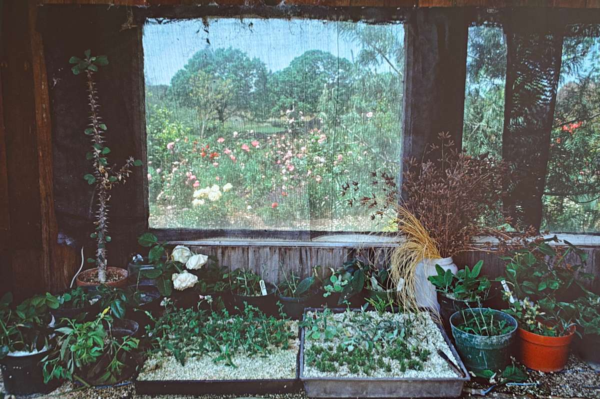 Santa Rosa, California by Sam Abell 