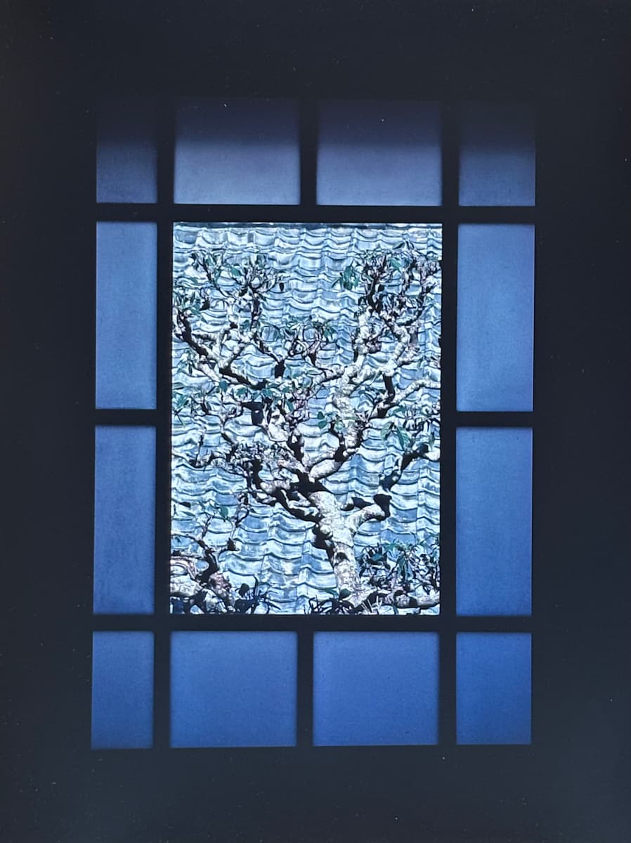 Tomoe Ryokan, Hagi, Japan by Sam Abell 