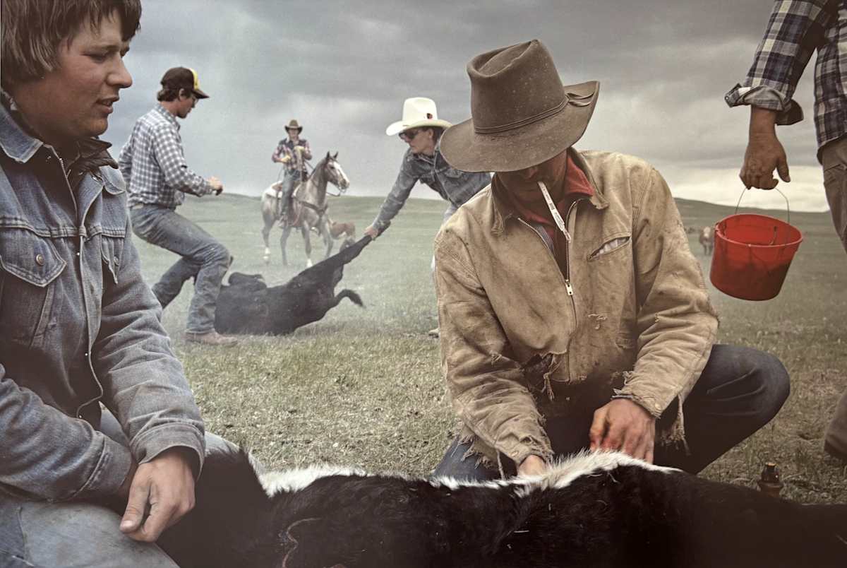 Buffalo, Montana by Sam Abell, Image 8.